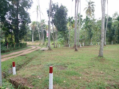 ​නාරම්මලින් පර්චස් 14 ක අනගි ඉඩමක් ලක්ෂ 28 කට